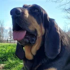 Meet your Posher, Angie